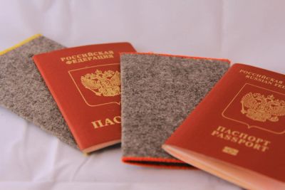 Лот: 4114866. Фото: 1. Обложка на паспорт, Войлок. Бумажники, кошельки, портмоне