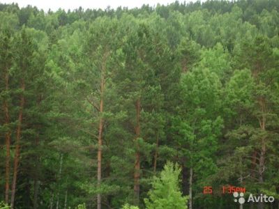 Лот: 11449612. Фото: 1. Участок 10 сот. ст. Маганская. Земельные участки