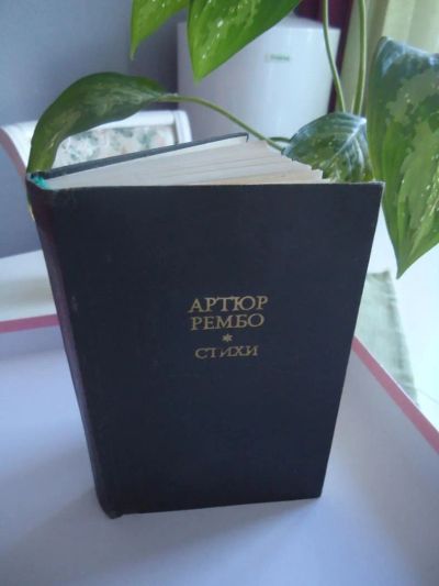 Лот: 5853128. Фото: 1. Сборник стихов. Артюр Рембо. Обмен... Художественная