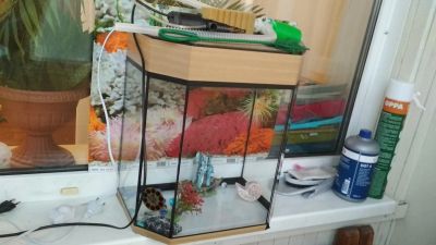 Лот: 12120839. Фото: 1. Аквариум с подсветкой +бонус. Оборудование