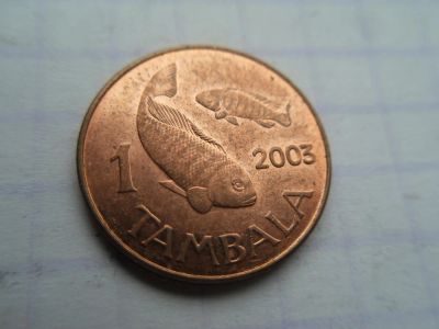 Лот: 8391018. Фото: 1. Малави 1 тамбала 2003. Африка