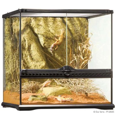 Лот: 4505238. Фото: 1. Террариум EXO TERRA 45 x 45 x... Домики, переноски, клетки, когтеточки