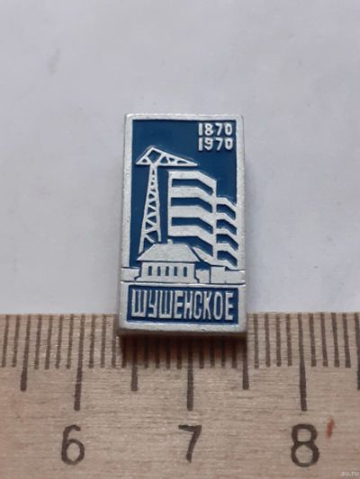 Лот: 18277065. Фото: 1. (№11578) значки Шушенское 100... Юбилейные