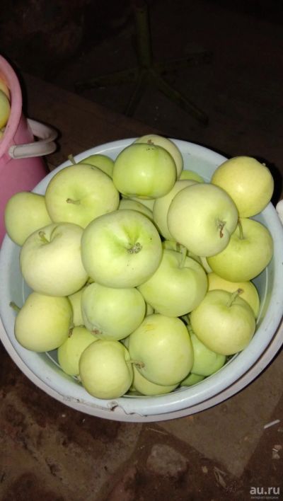Лот: 14378812. Фото: 1. Яблоки местные и полезные. Овощи, фрукты, зелень