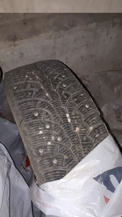 Лот: 14831493. Фото: 1. Nokian Nordman 5 195/65 r15 95T... Шины на дисках