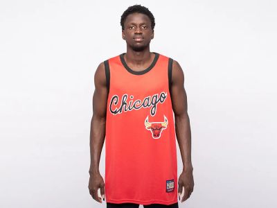 Лот: 24976643. Фото: 1. Джерси Nike Chicago Bulls. Футболки, поло