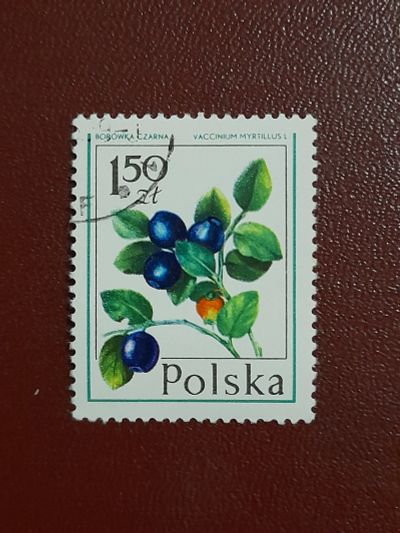 Лот: 19506736. Фото: 1. Марка польша. Марки