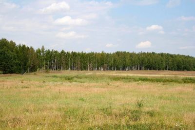 Лот: 5323147. Фото: 1. Продам участок земли 10 соток... Земельные участки