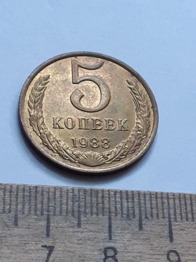 Лот: 21645618. Фото: 1. (№16598) 5 копеек 1988 год,без... Россия и СССР 1917-1991 года