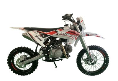 Лот: 25208769. Фото: 1. Мотоцикл JHL Z125E PITBIKE. Другое (мототехника)