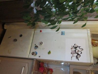 Лот: 2393305. Фото: 1. холодильник б/у. Холодильники, морозильные камеры
