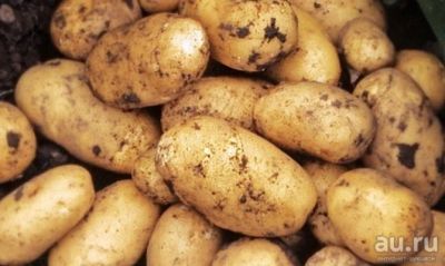Лот: 7509151. Фото: 1. Деревенский Вкусный Рассыпчатый... Картофель