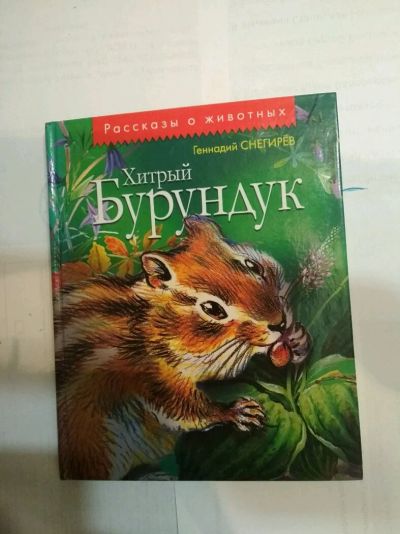 Лот: 14297012. Фото: 1. Книга. Книги