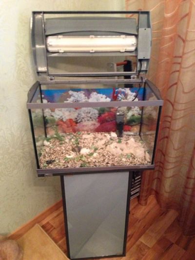 Лот: 5495986. Фото: 1. Аквариум Tetra AquaArt Tropical... Аквариумы, террариумы