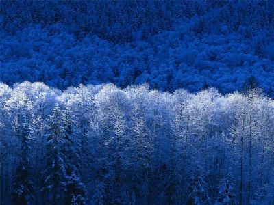 Лот: 3742641. Фото: 1. Земельный участок для ИЖС. Земельные участки