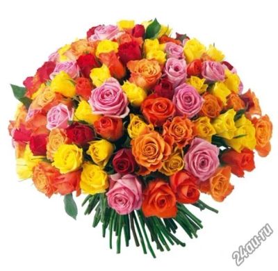 Лот: 6982456. Фото: 1. Букет из 101 розы 40 см. Лот... Свежие цветы