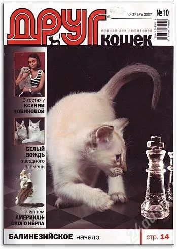 Лот: 1873782. Фото: 1. Журналы "Друг кошек" за разные... Другое (журналы, газеты, каталоги)