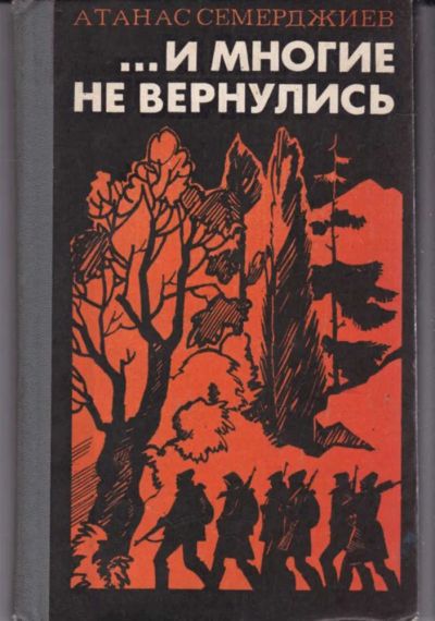 Лот: 23442659. Фото: 1. И многие не вернулись. Художественная