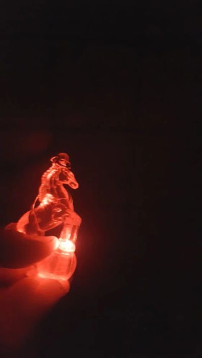 Лот: 16618511. Фото: 1. Брелок с подсветкой в виде лошади. Брелоки для ключей
