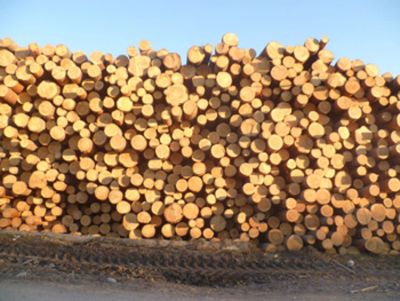 Лот: 3774573. Фото: 1. Продам производственное помещение... Другое (готовый бизнес)