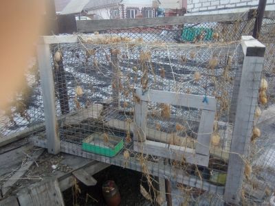Лот: 13307539. Фото: 1. Клетка. Кролики. Домики, переноски, клетки, когтеточки