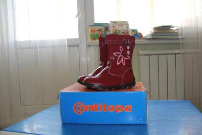 Лот: 8045714. Фото: 1. сапожки Антилопа осень-весна. Сапоги