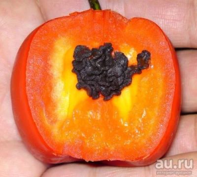 Лот: 13933978. Фото: 1. Семена перца Rocoto Giant. Среднеострый... Овощи