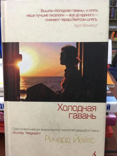Лот: 11565812. Фото: 1. Ричард Иейтс "Холодная гавань... Художественная