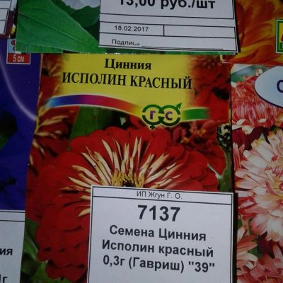 Лот: 9117952. Фото: 1. Семена / цветы / Цинния / Исполин... Садовые цветы