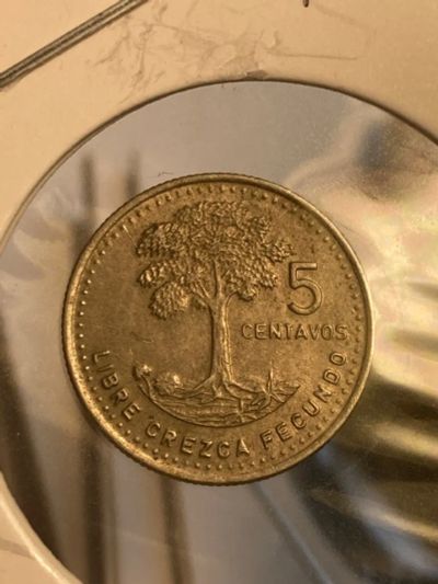 Лот: 19468599. Фото: 1. Гватемала 5 сентаво, 1988. Америка