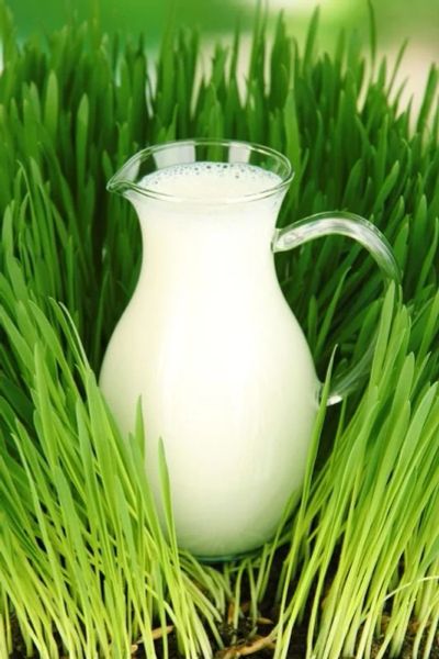Лот: 17300529. Фото: 1. Молоко деревенское. Молоко и молочные продукты