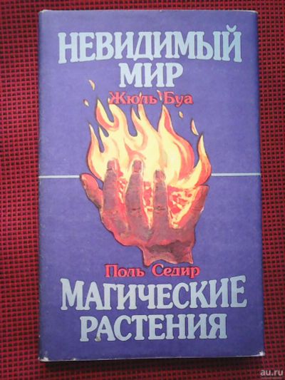 Лот: 17357061. Фото: 1. Жюль Буа- Невидимый мир. Поль... Религия, оккультизм, эзотерика