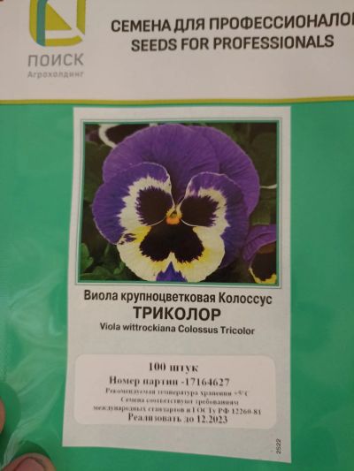 Лот: 18979205. Фото: 1. Виола крупноцветковая Колоссус... Садовые цветы