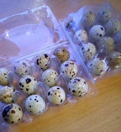 Лот: 13143524. Фото: 1. Инкубационное яйцо перепела. Птицы