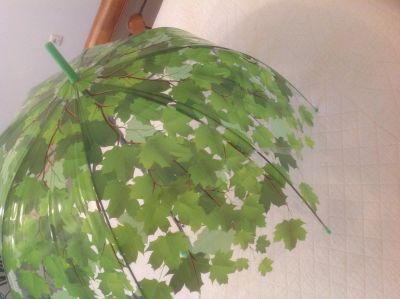 Лот: 11833635. Фото: 1. Зонт трость прозрачный с листьями. Зонты