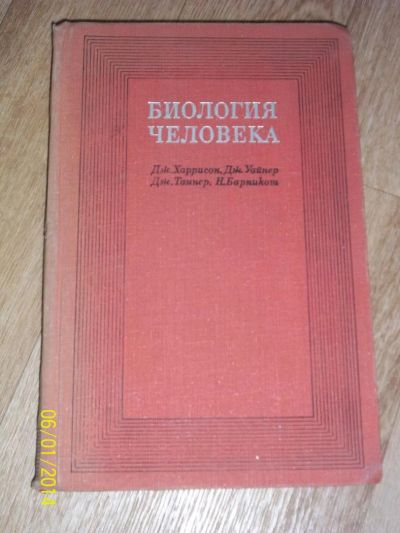 Лот: 4156270. Фото: 1. Биология человека. Перевод с английского... Другое (литература, книги)