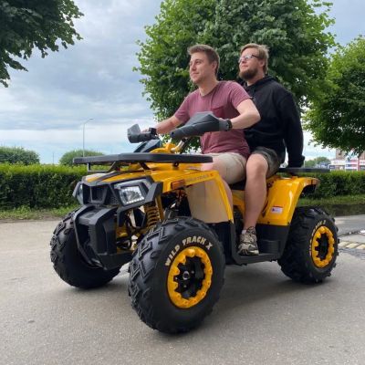 Лот: 24066279. Фото: 1. ATV 200 WILD TRACK X (баланс... Снегоходы, квадроциклы