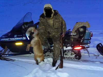 Лот: 5988517. Фото: 1. Ski-Doo grand touring se 700. Снегоходы, квадроциклы