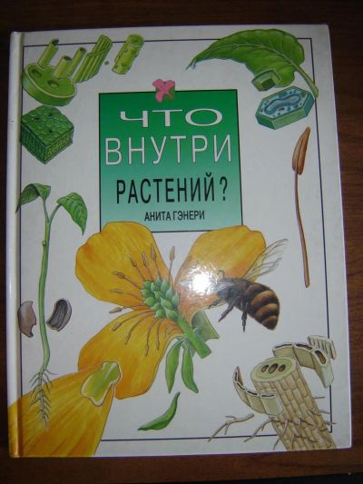 Лот: 8077369. Фото: 1. Что внутри растений Анита Гэнери. Другое (учебники и методическая литература)