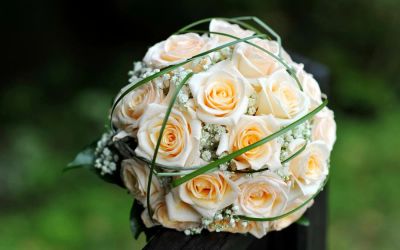 Лот: 7263567. Фото: 1. Сборный букет. Цветы на Щорса... Свежие цветы