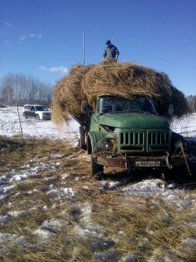 Лот: 8380197. Фото: 1. Мясо говядина деревенская 300... Мясо, птица, яйцо