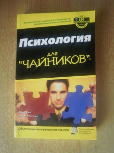 Лот: 3999805. Фото: 1. Психология для чайников. Другое (литература, книги)