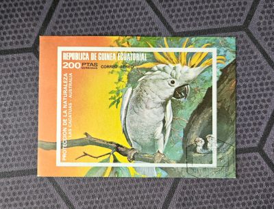 Лот: 25409036. Фото: 1. Марки: Экв. Гвинея. Попугай (ПБ... Марки