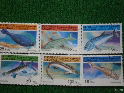 Лот: 9543061. Фото: 1. Марки, Морская фауна, Сахара... Марки