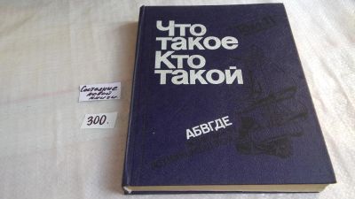 Лот: 8410444. Фото: 1. Что такое. Кто такой (к-кт из... Познавательная литература