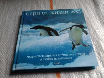 Лот: 5723443. Фото: 1. Бери от жизни все! Мудрость жизни... Художественная