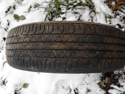 Лот: 8401602. Фото: 1. шина лето данлоп. Шины