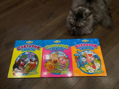 Лот: 25128712. Фото: 1. Развивающие книжки Смешарики... Развивающие