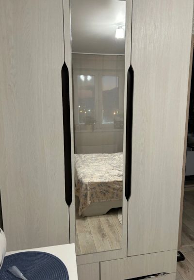 Лот: 21012264. Фото: 1. Шкаф с распашными дверьми. Шкафы, шкафы-купе