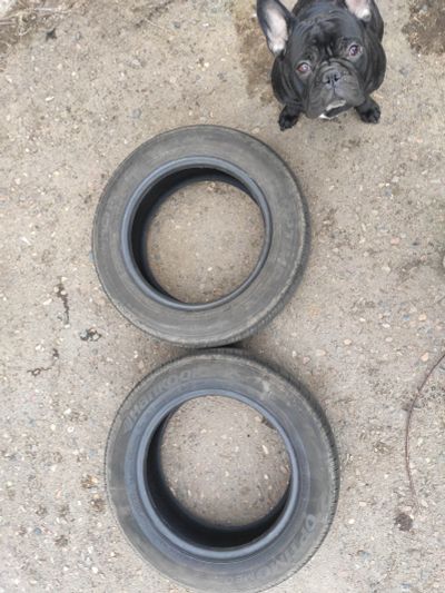 Лот: 15689463. Фото: 1. Шины Hankook. Шины